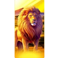 Lion
Safari